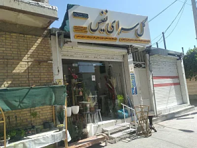 گل سرای نفیس