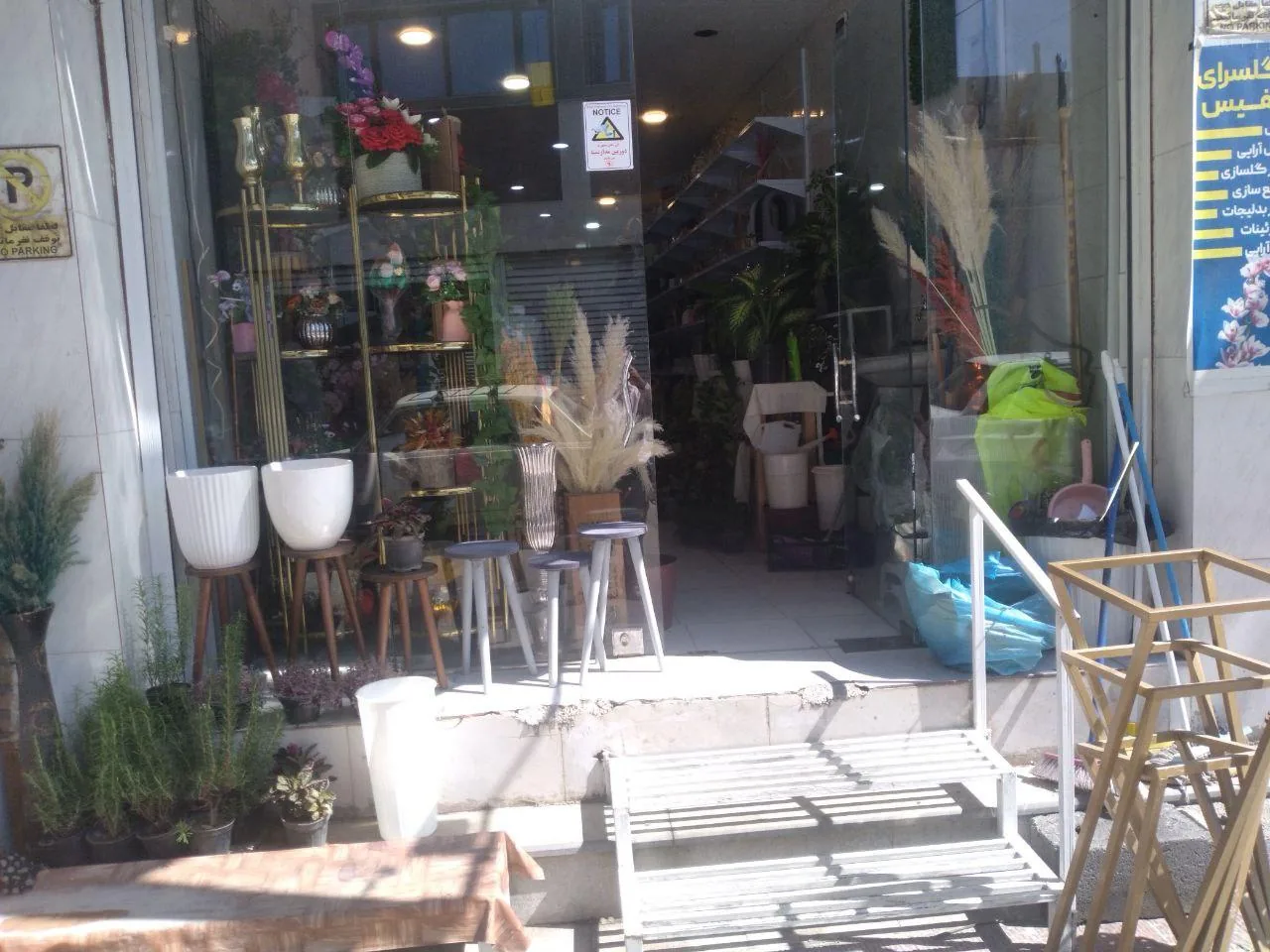 گل سرای نفیس - تصویر 2
