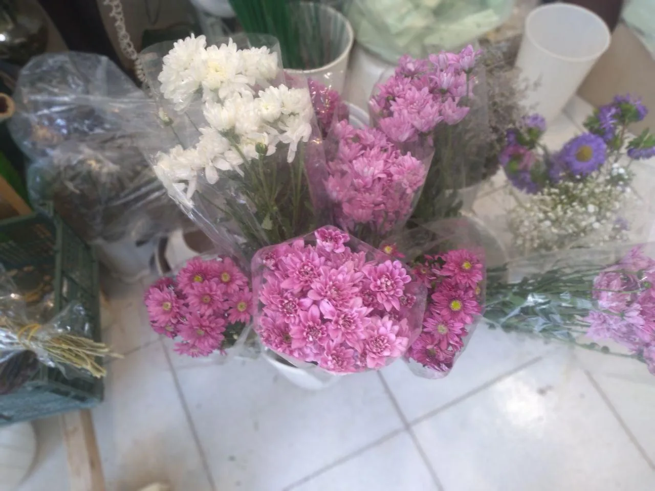 گل سرای نفیس - تصویر 3