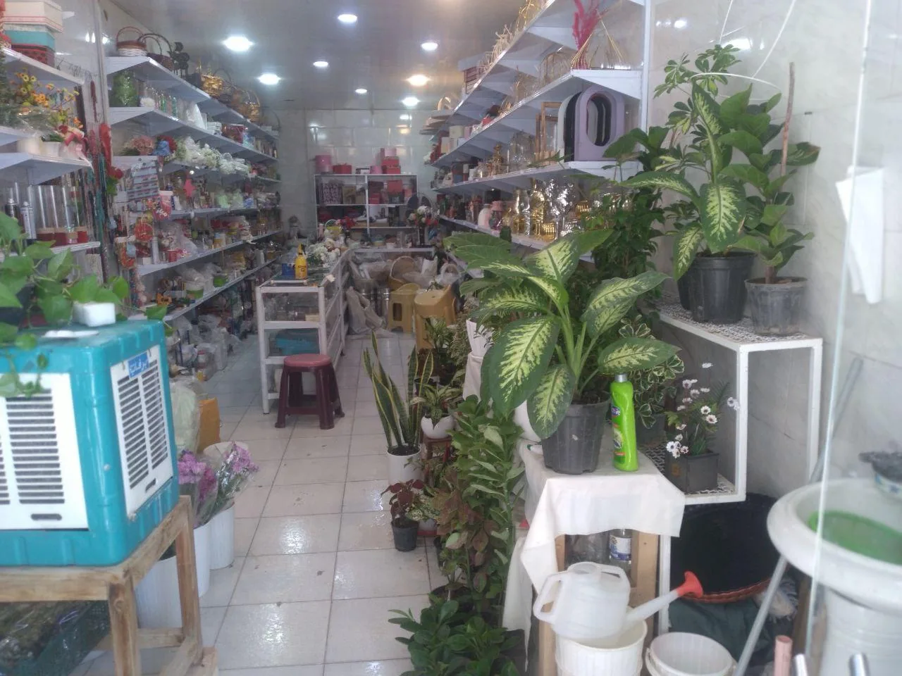 گل سرای نفیس - تصویر 4