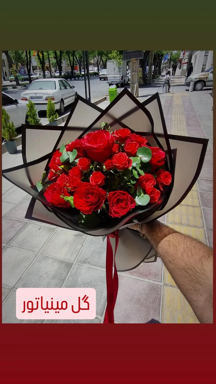 گل مینیاتور شهرکرد - تصویر 5