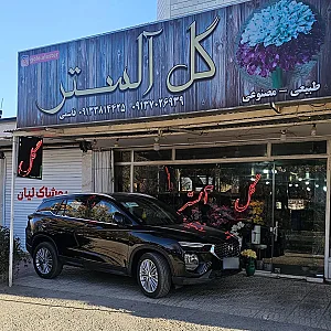گل فروشی آلستر