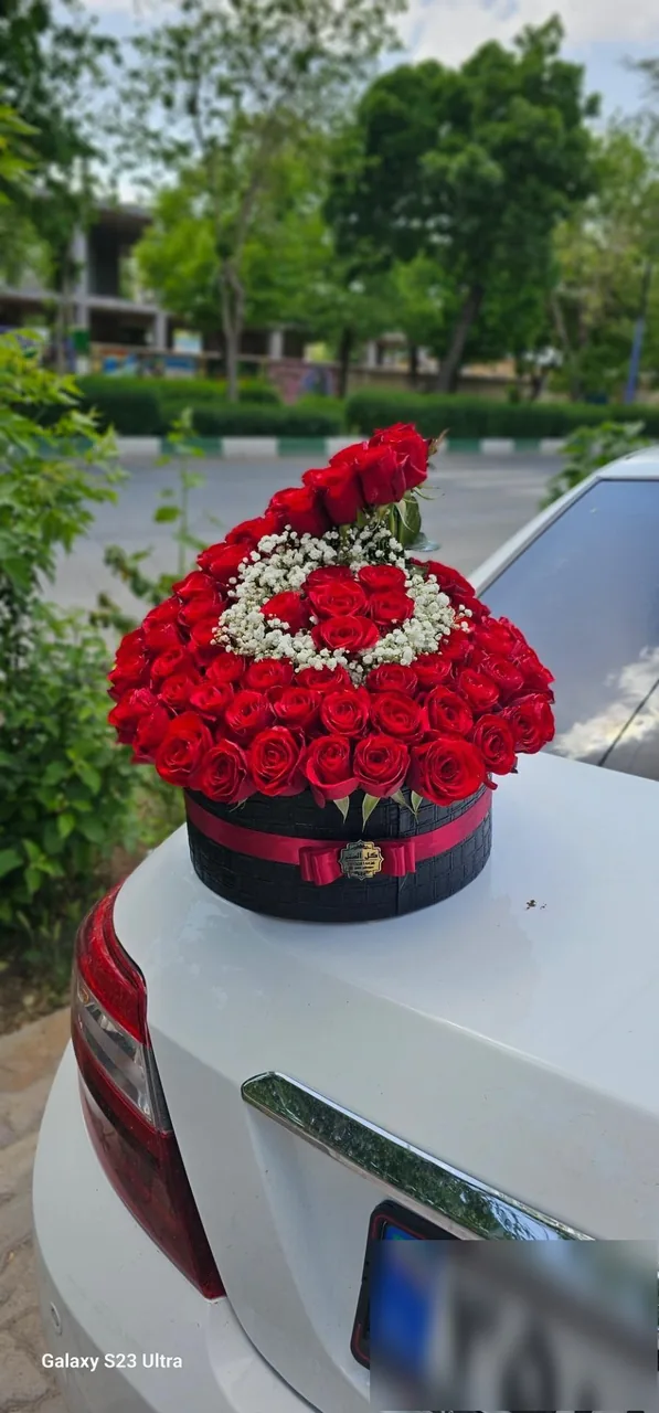 گل فروشی آلستر - تصویر 2
