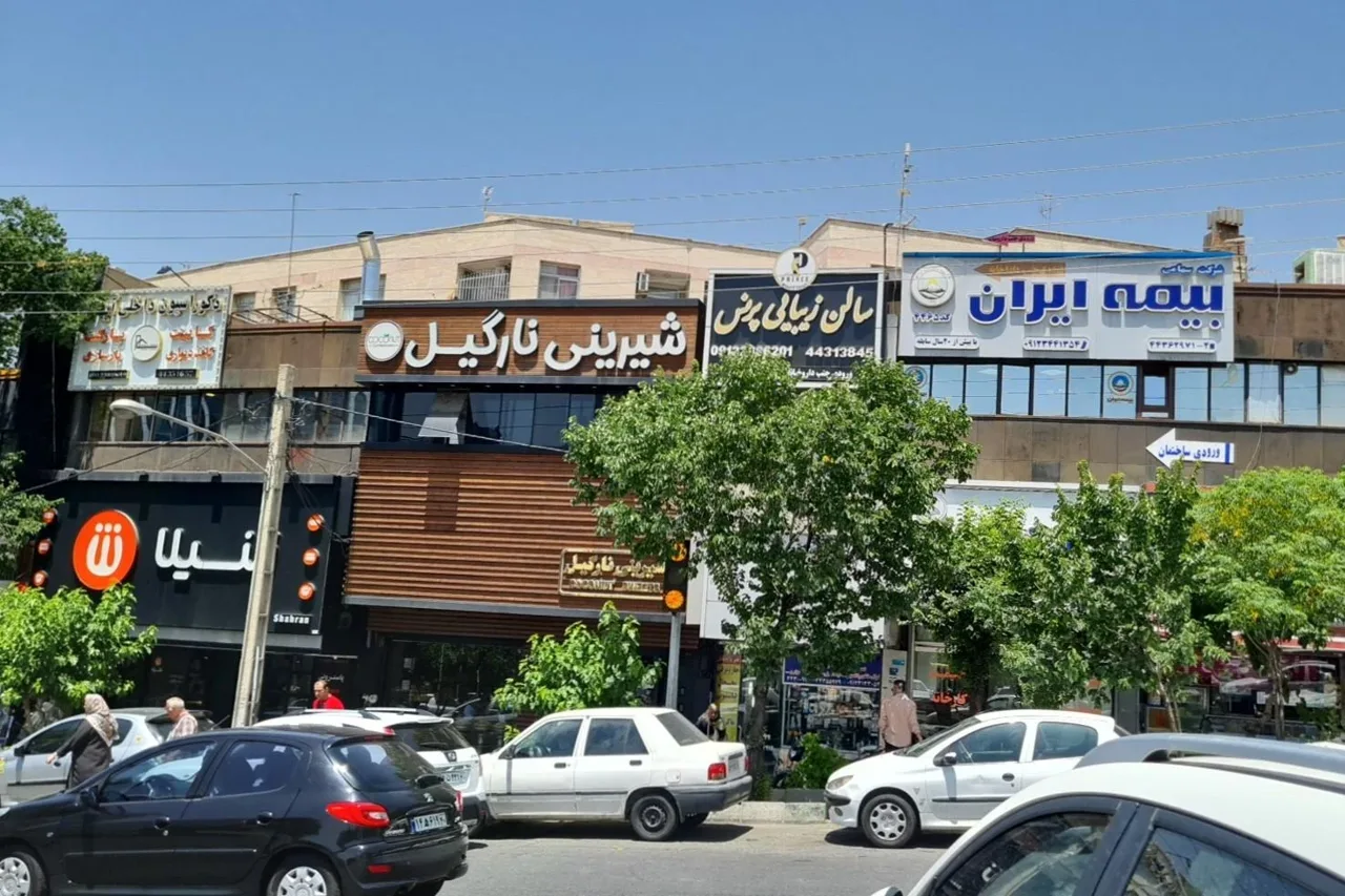 بیمه ایران نمایندگی شهران (کد۳۴۰۳ باقریان) - تصویر 2