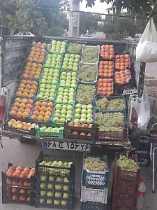 میوه فروشی مجیدمرادی