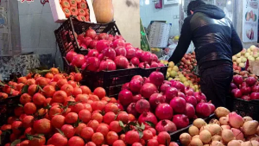 میوه فروشی فیروزه