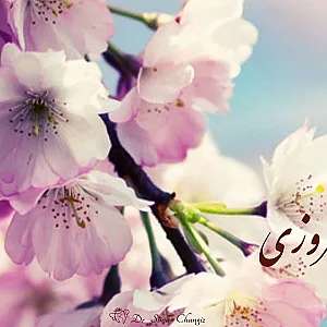 دکتر سیما چنگیز متخصص دندانپزشکی کودکان