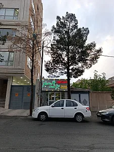 فست فود برگ سبز