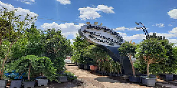 گلخانه من