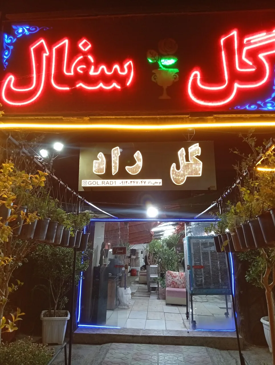 گل راد - تصویر 3