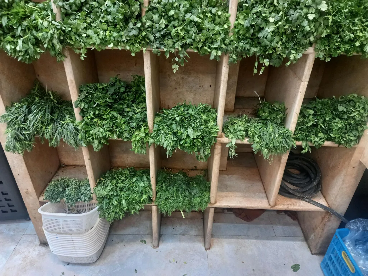 سبزیجات علی آبادی - تصویر 2