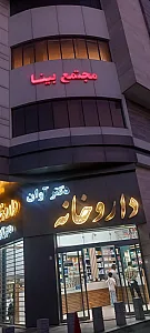 مجتمع بینا