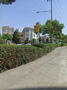 مارکت بهاران