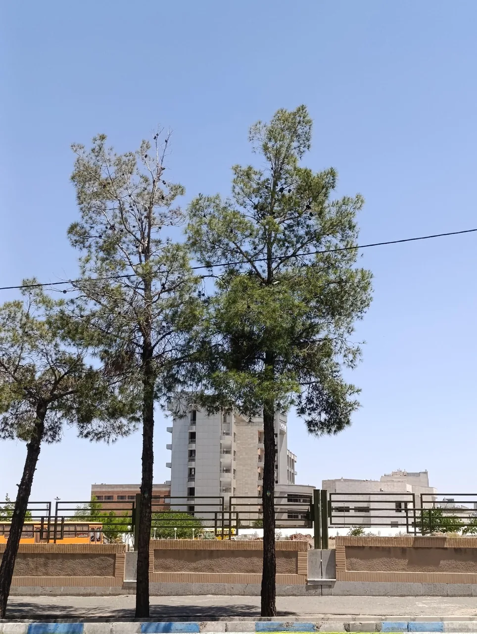 بیمارستان فوق تخصصی رازی - تصویر 5