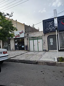 تایپ و تکثیر الماس شرق