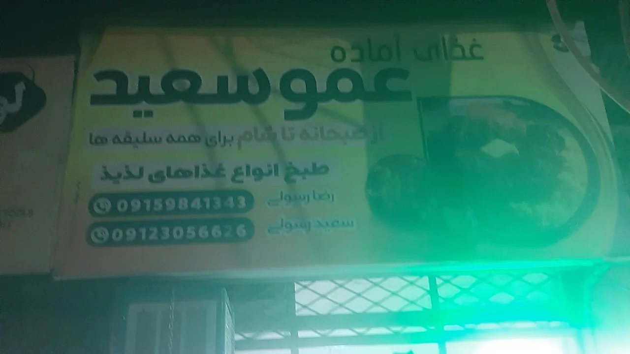غذا آماده ی سعید - تصویر 2