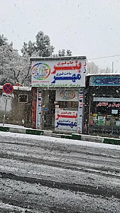 تبلیغات گل نرگس