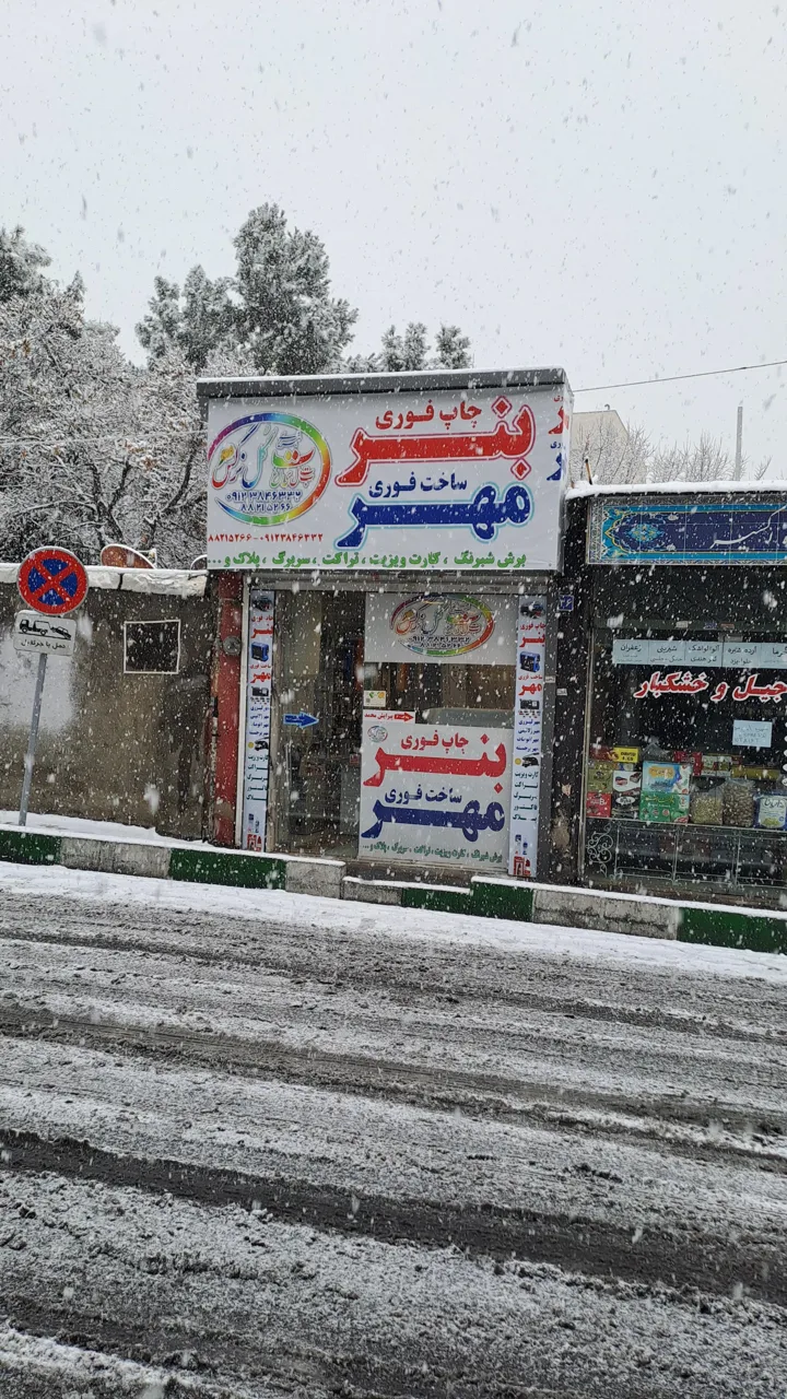 تبلیغات گل نرگس
