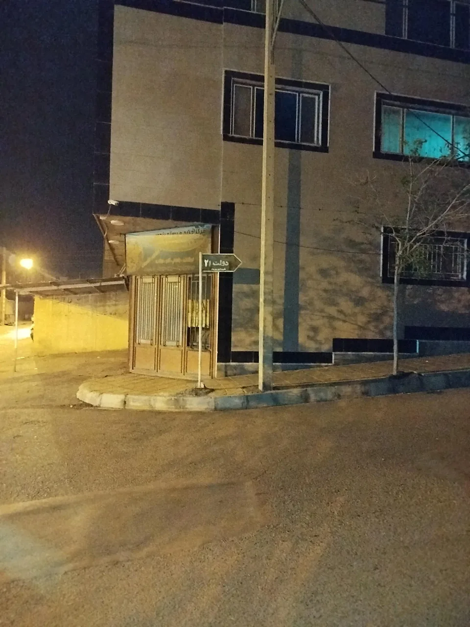 خشکبار زمینی - تصویر 2