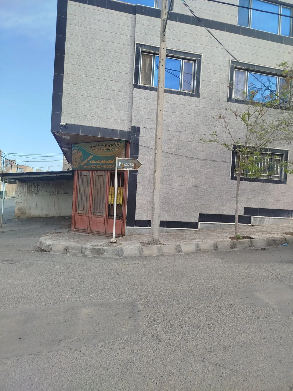 خشکبار زمینی - تصویر 3