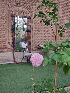 کافه فست فود عمورضا
