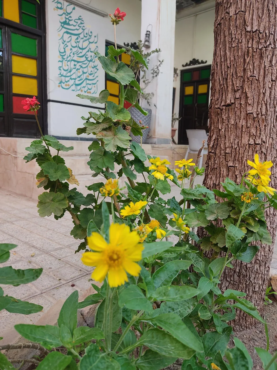 کافه فست فود عمورضا - تصویر 2