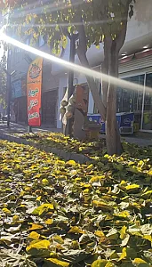 هایپر رحمانی