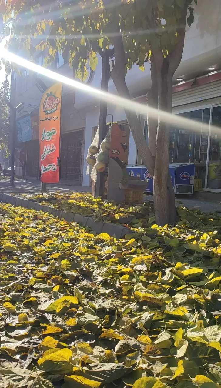 هایپر رحمانی