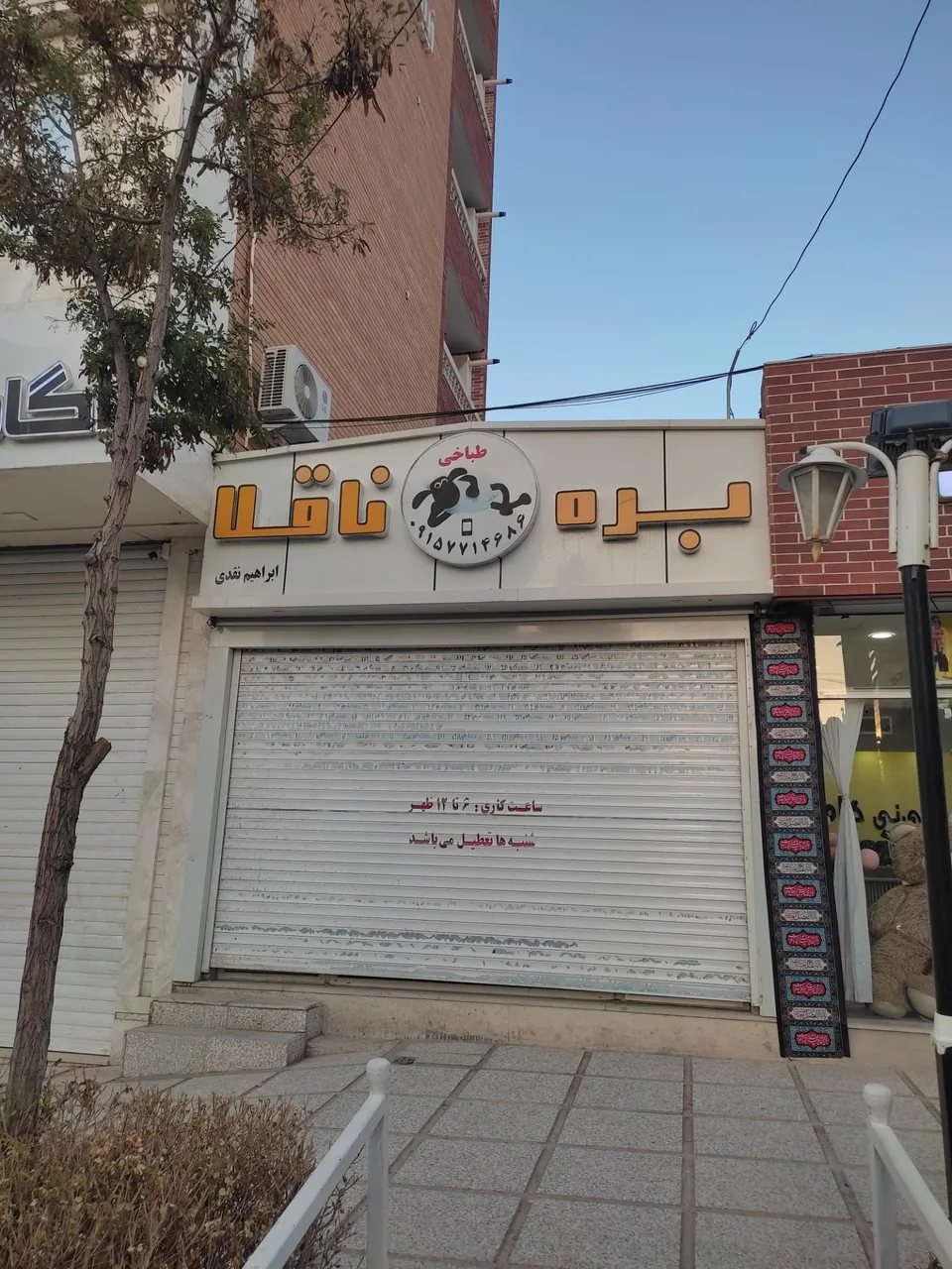 طباخی بره ناقلا - تصویر 2