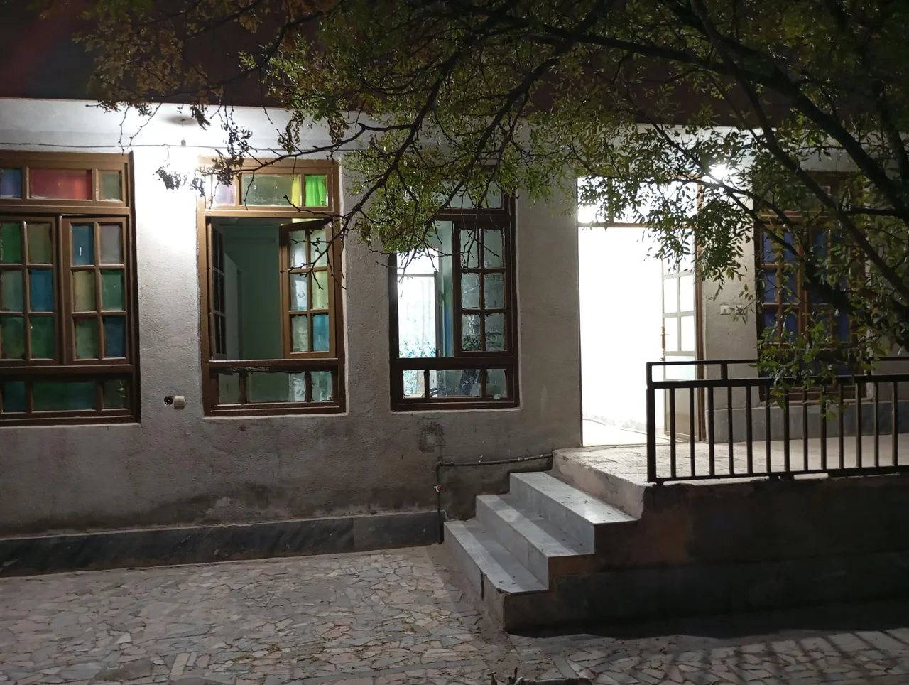 کلینیک دامپزشکی دکتر نوری - تصویر 2