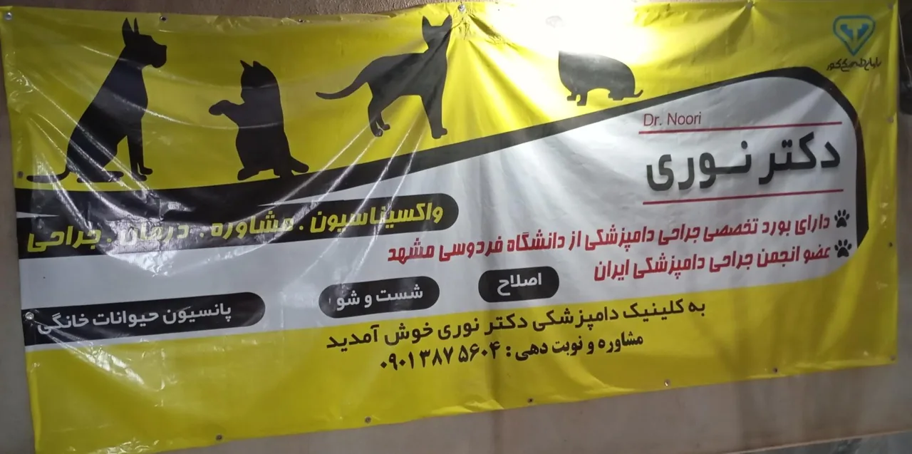 کلینیک دامپزشکی دکتر نوری - تصویر 3