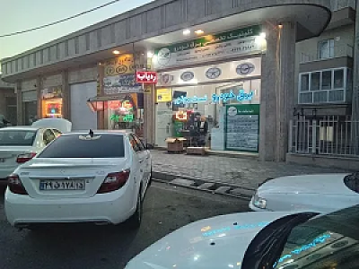 کلینیک تخصصی برق خودرو سبز