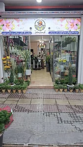 گلسرای ساحل