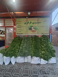 میوه فروشی اخوان فلکی