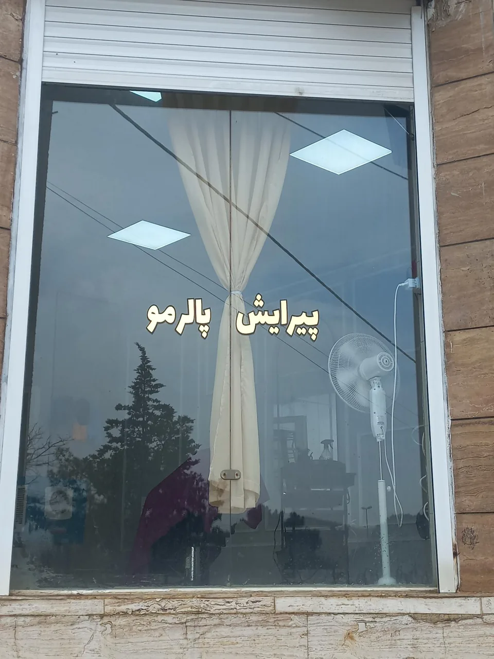پیرایش پالرمو - تصویر 2