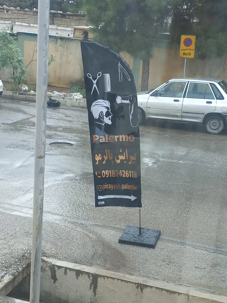 پیرایش پالرمو - تصویر 3