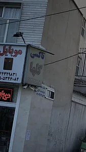 تاکسی گلها