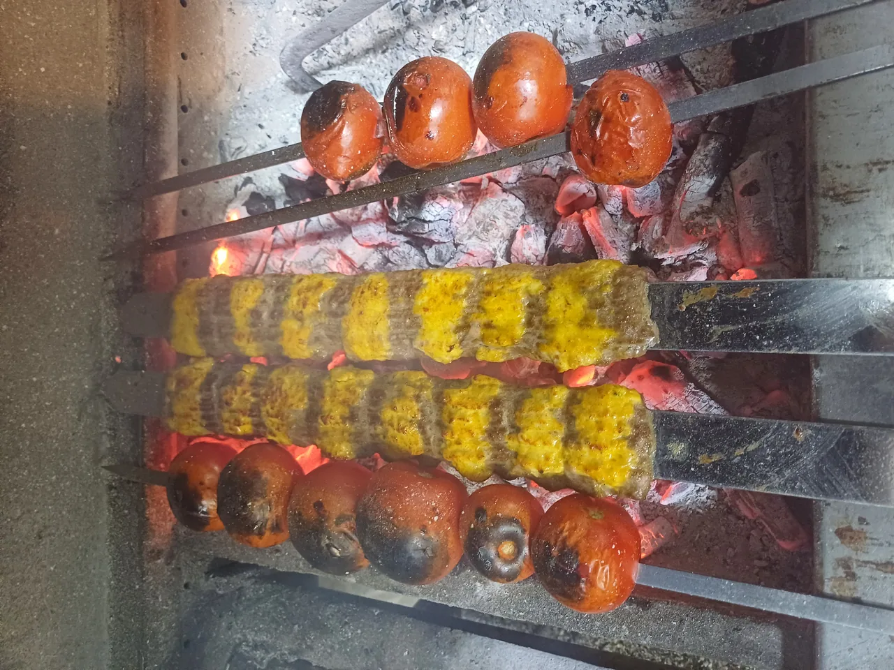 غذای شمشاد - تصویر 2