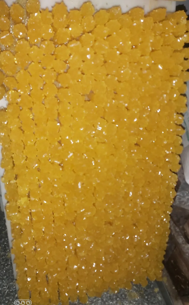 نبات و آب نبات ریزی رضا
