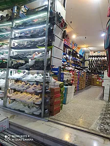 کفش پردیس
