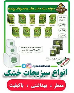 فروشگاه سبزیجات خشک پودینه طبس