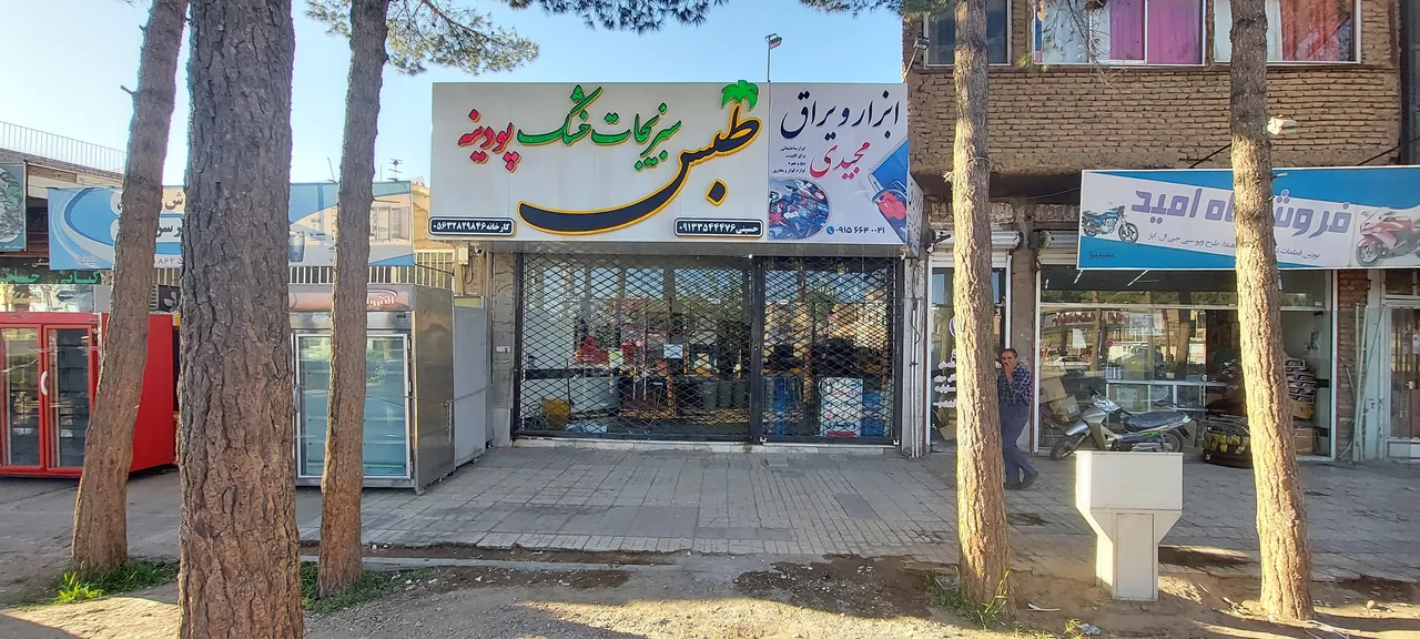 فروشگاه سبزیجات خشک پودینه طبس - تصویر 2