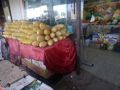 میوه و تره باربرکت
