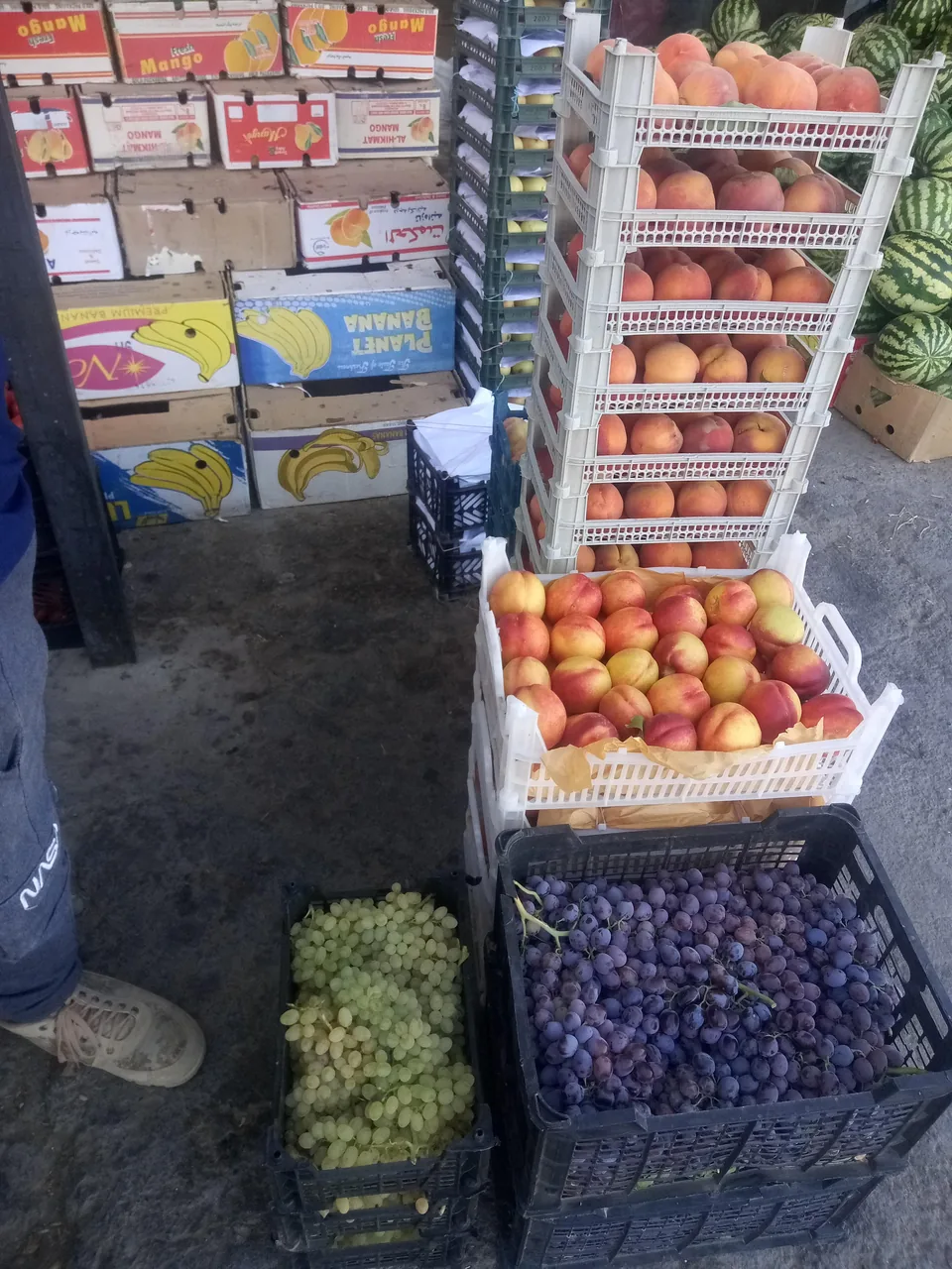 میوه و تره باربرکت - تصویر 3
