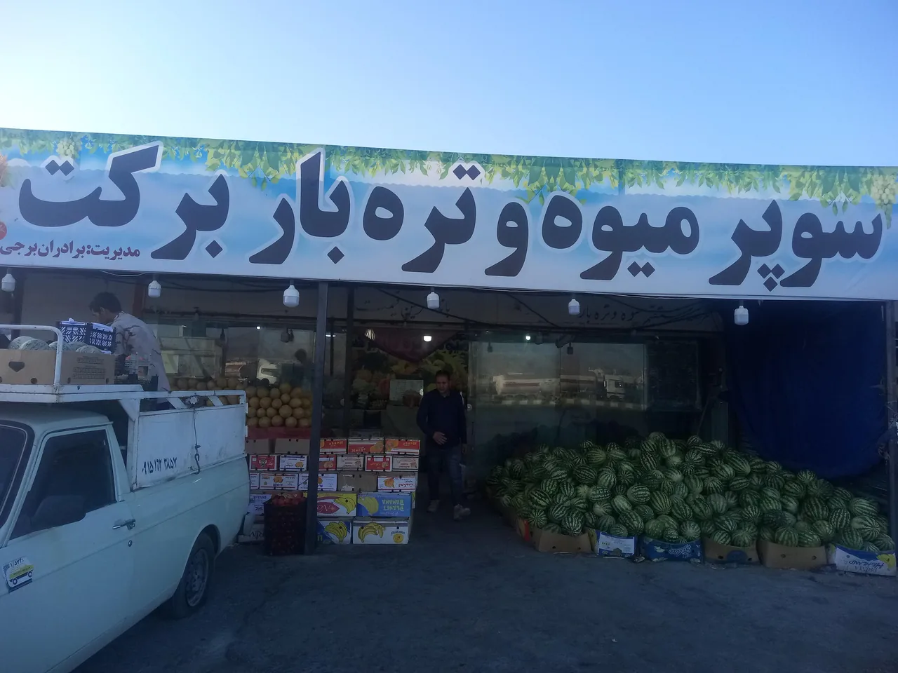 میوه و تره باربرکت - تصویر 4