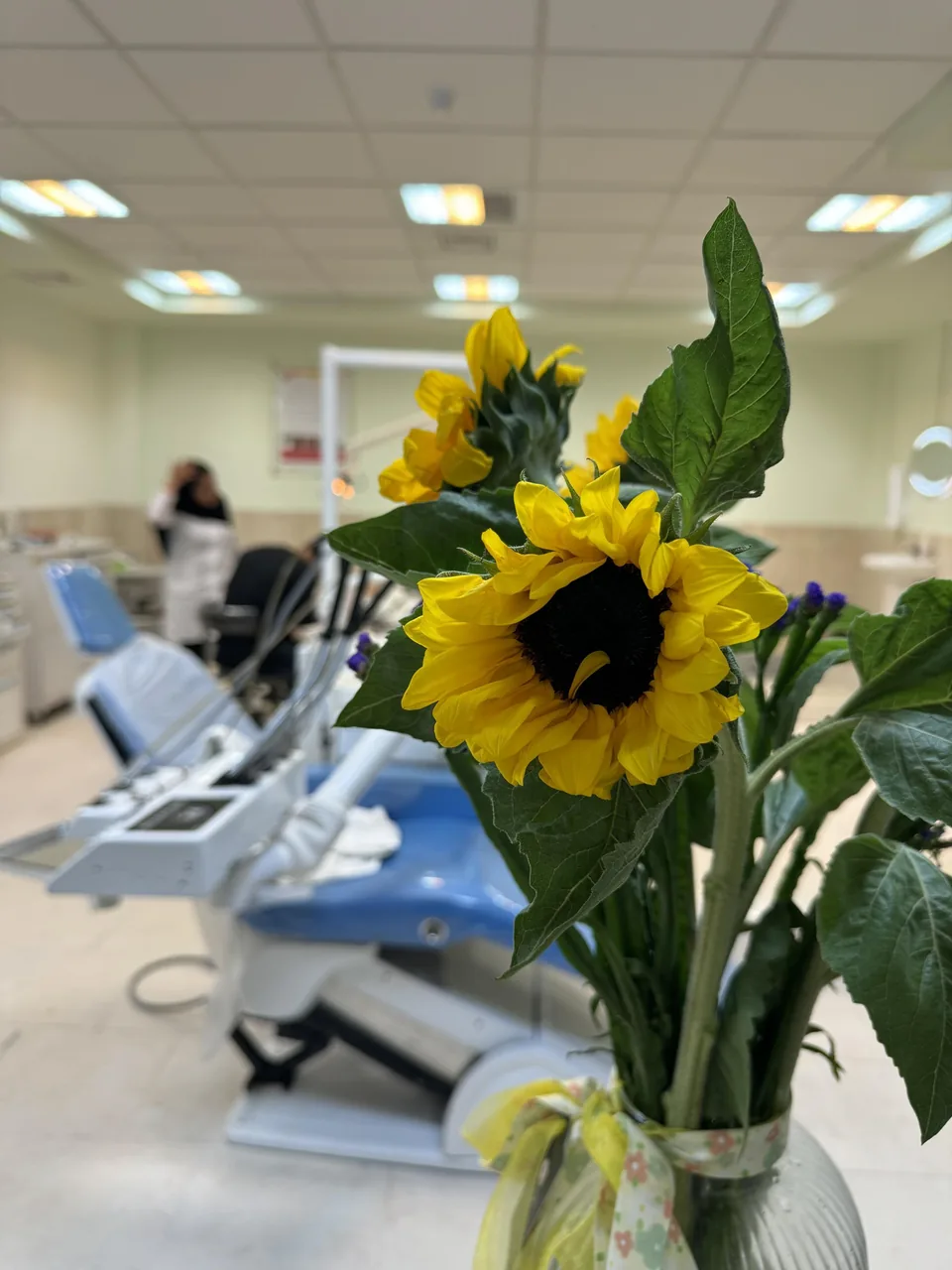 مطب دندانپزشکی دکتر شبیری - تصویر 2