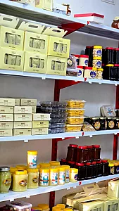 تولیکا ایلام