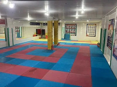 باشگاه ورزشی پارسا