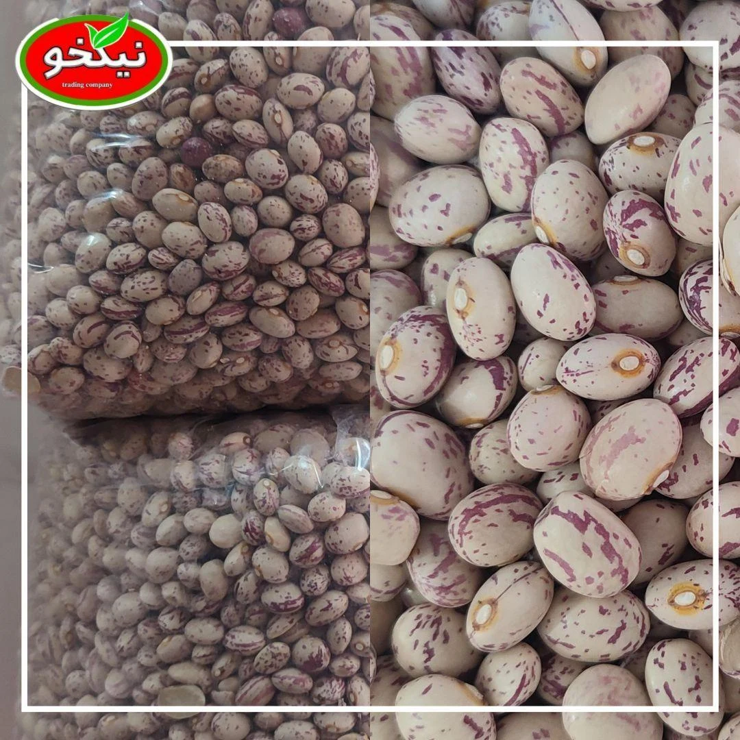پخش مواد غذایی نیکخو - تصویر 3