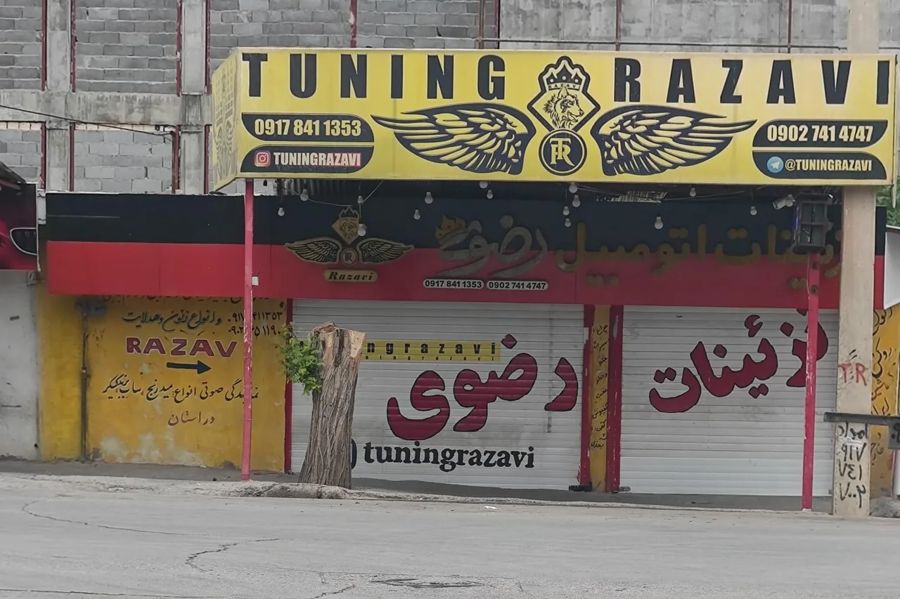 تزیینات اتومبیل رضوی - تصویر 2